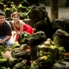 honeymoon in Bali